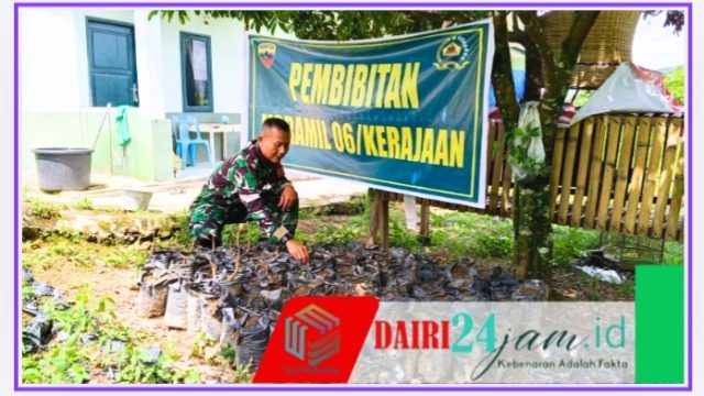 Tingkatkan Kualitas Lingkungan, Koramil 06/Kerajaan Hijaukan Lahan dengan Ratusan Bibit Tanaman Produktif