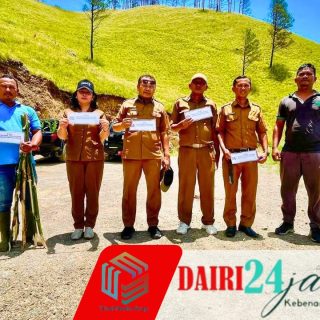 Pemkab Dairi Lakukan Monitoring Perkembangan Pohon Kemiri Yang Ditanam Di Desa Paropo 