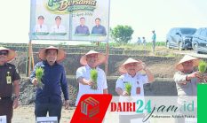 Pemkab Dairi Dan PT. Pupuk Indonesia Tanam Padi Bersama Di Desa Lumban Toruan