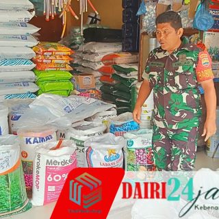 Babinsa Pantau Kebutuhan Pertanian, Sidak Ketersediaan Pupuk