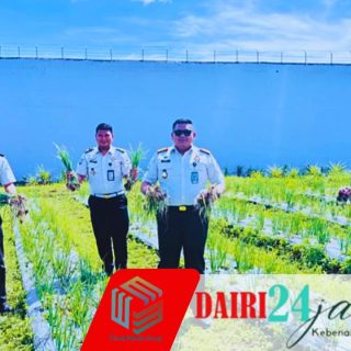 Optimalkan Lahan Produktif, Rutan Sidikalang Panen Komoditas Bawang Merah
