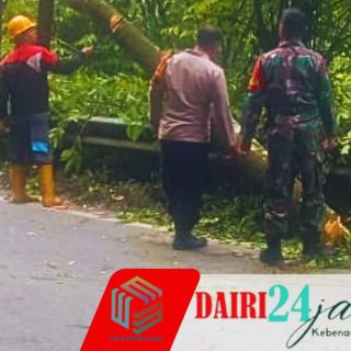 Sinergitas Babinsa Beserta Anggota Polri dan PLN Atasi Pohon Tumbang Menutupi Badan Jalan
