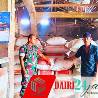 Jaga Ketahanan Pangan, Babinsa  Sambangi Kilang Padi di Wilayah Binaan
