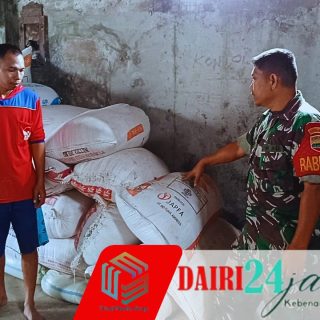 Cek Stok Gabah, Babinsa Aktif Sambangi Kilang Padi