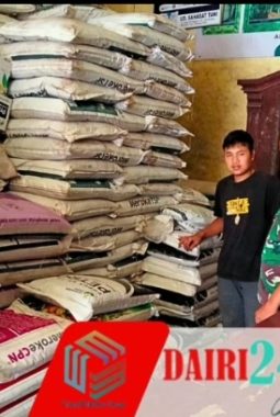 Kawal Ketahanan Pangan, Serda Torop Samosir Pantau Stok Pupuk di Kelurahan Pegagan Julu I