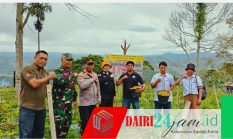 Babinsa Koramil 05/TP Turun ke Ladang, Panen Cabai Caplak Bersama Polsek dan Masyarakat Balan Dua