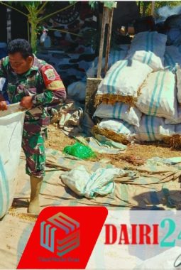 Babinsa Koramil 05/TP Dampingi Penggilingan Jagung, Bantu Dongkrak Ketahanan Pangan di Desa Harapan