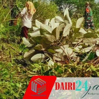 Babinsa Bersama Warga Lakukan Pembersihan Jalan Usaha Tani