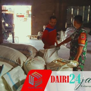 Cek Stok Gabah, Babinsa Aktif Sambagi Kilang Padi