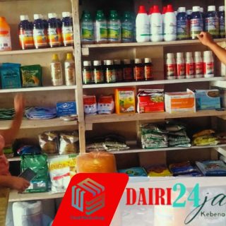 Cek Ketersediaan Pupuk Untuk Petani, Babinsa Sambangi Kios Pupuk di Wilayah Binaan