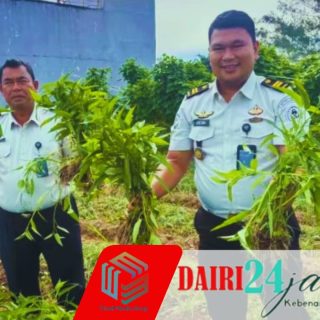 Bekali Warga Binaan Keterampilan Agrobisnis, Rutan Sidikalang Panen Raya Kangkung di Lahan SAE