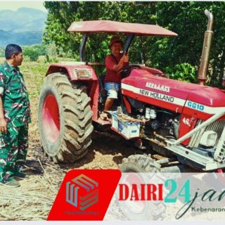 Babinsa Sertu Warpadli Sambangi Petani Jagung di Desa Suka Dame, Dorong Peningkatan Produksi