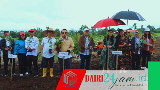 Babak Baru Investasi Dari Parbuluan, Kopi Dairi Menatap Pasar Dunia