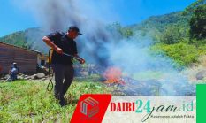 Tingkatkan Kesiapsiagaan Karhutla, Pemkab Dairi dan Forkopimda Gelar Rakor serta Simulasi di Silahisabungan