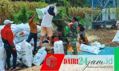 Serda J.Ginting Dampingi Warga Kuta Damen Giling Jagung