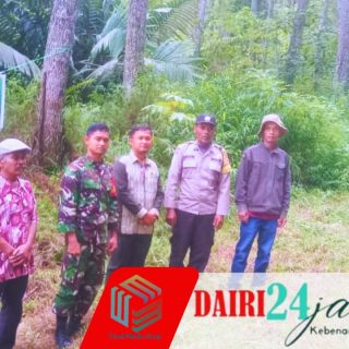 Sinergi Babinsa Dengan Unsur Pimpinan Kecamatan Laksanakan Patroli Cegah Penyadapan Pinus Ilegal