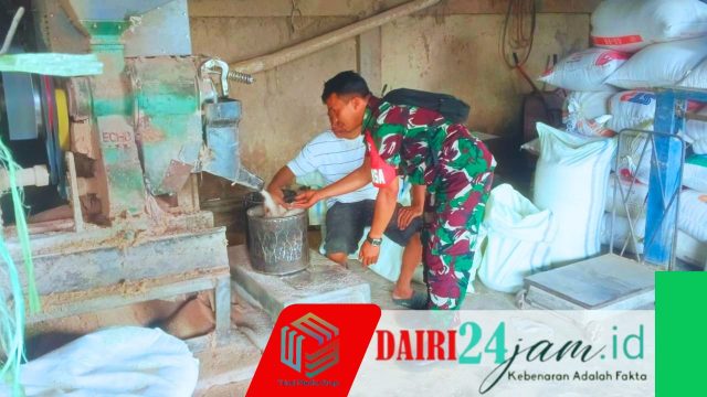 Pastikan Stok Beras Aman, Babinsa Koramil 01/Sumbul Sambangi Kilang Padi