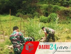 Personil Babinsa Koramil 01 Sumbul Bersama Warga Melaksanakan Gotong Royong