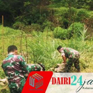 Personil Babinsa Koramil 01 Sumbul Bersama Warga Melaksanakan Gotong Royong