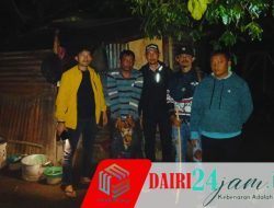 Sempat Buang Barang Bukti, Pengedar Sabu di Lae Parira Di Amankan Polisi