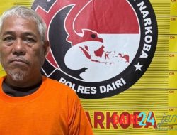 Polsek Tanah Pinem Ringkus Pemilik Ladang Ganja di Desa Lau Primbon