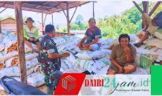 Tingkatkan Ketahanan Pangan Desa Kempawa, Babinsa Koramil 05 Tanah Pinem Sambangi Petani Jagung
