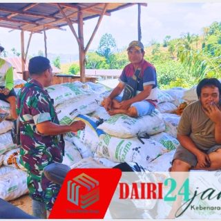 Tingkatkan Ketahanan Pangan Desa Kempawa, Babinsa Koramil 05 Tanah Pinem Sambangi Petani Jagung