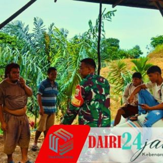 Dukung Ketahanan Pangan, Babinsa Koramil 05/Tanah Pinem Sambangi Usaha Penggilingan Jagung di Desa Kempawa