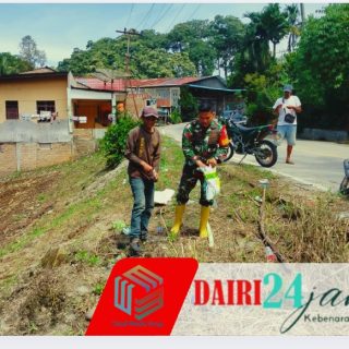 Wujudkan Kemanunggalan TNI-Rakyat, Babinsa Koramil 05/TP Ikut Menanam Jagung Bersama Warga Kuta Buluh