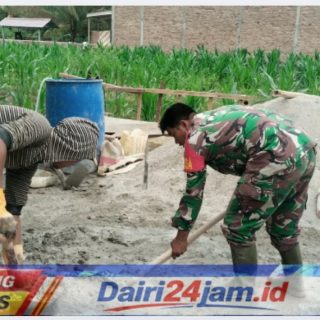 Bantu Warga, Babinsa Koramil 05/TP Tautkan Keharmonisan di Tanah Pinem